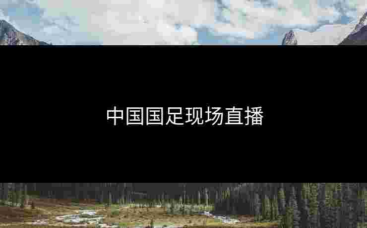 中国国足现场直播